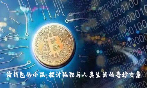偷钱包的小狐：探讨狐狸与人类生活的奇妙交集