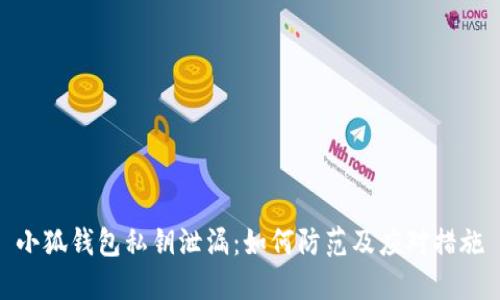 小狐钱包私钥泄漏：如何防范及应对措施