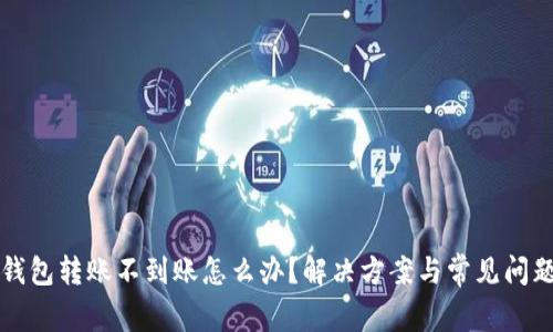 小狐钱包转账不到账怎么办？解决方案与常见问题解析