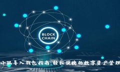 小狐导入钱包指南：轻松便捷的数字资产管理