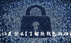 MetaMask是什么？了解热钱包的功能与优势