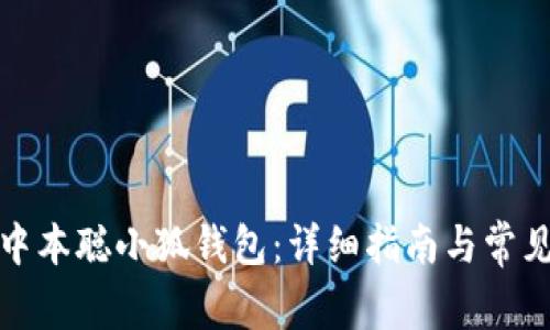 如何创建中本聪小狐钱包：详细指南与常见问题解答