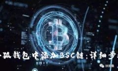 如何在小狐钱包中添加BSC链：详细步骤与技巧