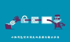小狐钱包突然消失的原因及解决办法