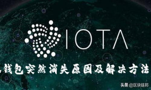 小狐钱包突然消失原因及解决方法详解