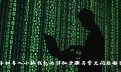 手机导入小狐钱包的详细步骤与常见问题解答