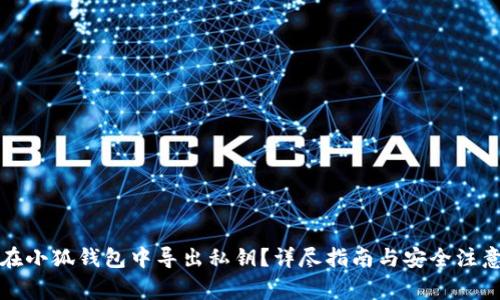 如何在小狐钱包中导出私钥？详尽指南与安全注意事项