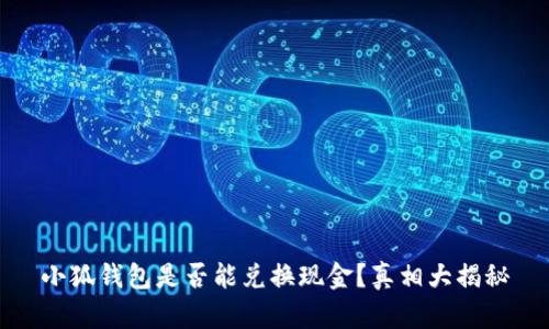 小狐钱包是否能兑换现金？真相大揭秘