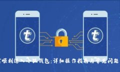 如何顺利进入小狐钱包：详细操作指南与常见问