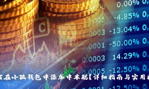 如何在小狐钱包中添加中本聪？详细指南与实用技巧