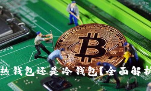 小狐钱包是热钱包还是冷钱包？全面解析与使用指南