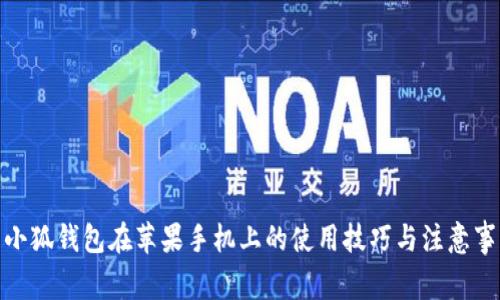 : 小狐钱包在苹果手机上的使用技巧与注意事项