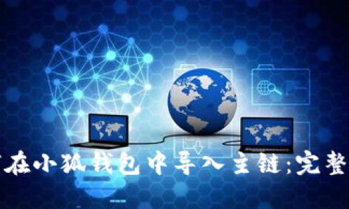 如何在小狐钱包中导入主链：完整指南