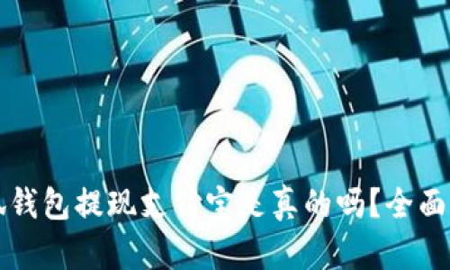 小狐钱包提现支付宝是真的吗？全面解析