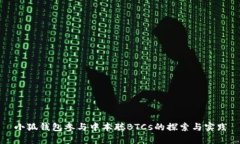 小狐钱包参与中本聪BTCs的探索与实践