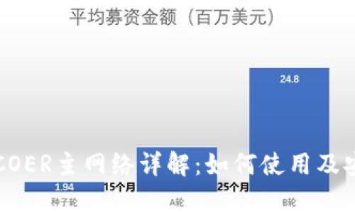小狐钱包COER主网络详解：如何使用及安全性分析