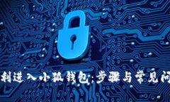 如何顺利进入小狐钱包：步骤与常见问题解答
