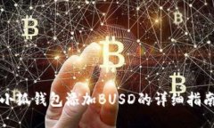 小狐钱包添加BUSD的详细指南
