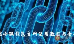 中本聪小狐钱包主网使用教程与全面解析