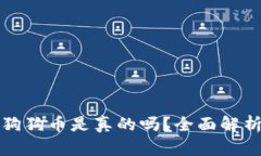 小狐钱包存狗狗币是真的吗？全面解析与用户指