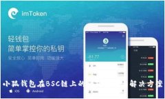 小狐钱包在BSC链上的问题分析与解决方案