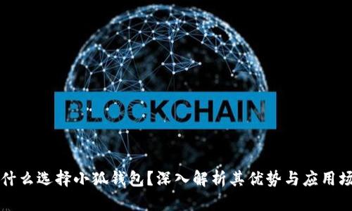 为什么选择小狐钱包？深入解析其优势与应用场景