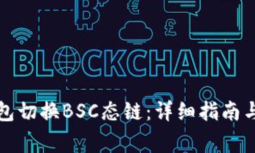 如何在小狐钱包切换BSC态链：详细指南与常见问题解答
