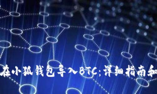 如何在小狐钱包导入BTC：详细指南和步骤