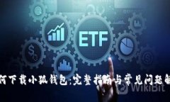 如何下载小狐钱包：完整指南与常见问题解答