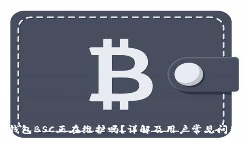 小狐钱包BSC正在维护吗？详解及用户常见问题解答