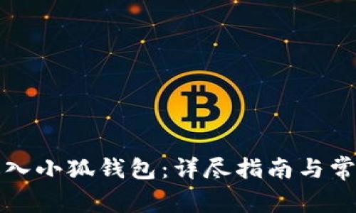 如何重新进入小狐钱包：详尽指南与常见问题解答