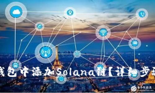 如何在小狐钱包中添加Solana链？详细步骤与注意事项