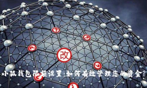 小狐钱包限额设置：如何有效管理您的资金?