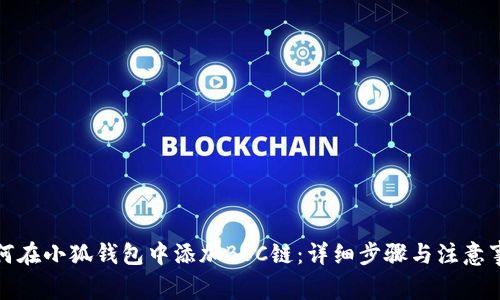 如何在小狐钱包中添加BSC链：详细步骤与注意事项