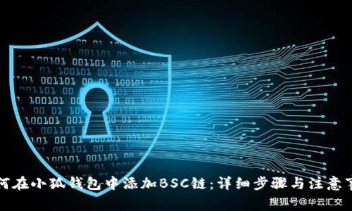 如何在小狐钱包中添加BSC链：详细步骤与注意事项