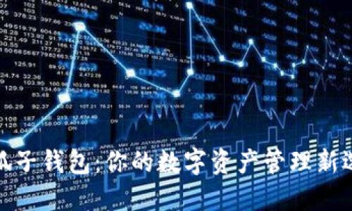 小狐子钱包：你的数字资产管理新选择
