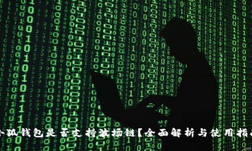 小狐钱包是否支持波场链？全面解析与使用指南