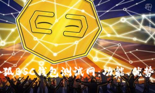 全面解析小狐BSC钱包测试网：功能、优势及使用指南