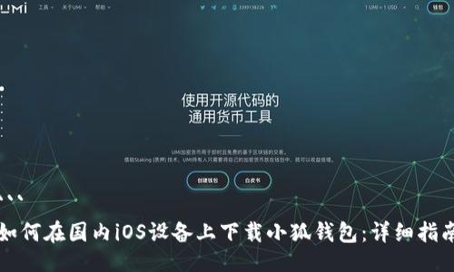 ```
如何在国内iOS设备上下载小狐钱包：详细指南