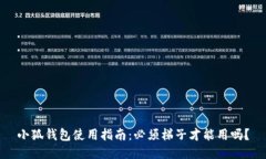 小狐钱包使用指南：必须梯子才能用吗？