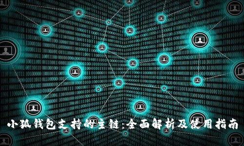 小狐钱包支持的主链：全面解析及使用指南