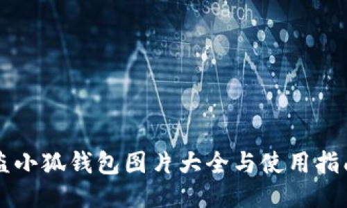 盗小狐钱包图片大全与使用指南