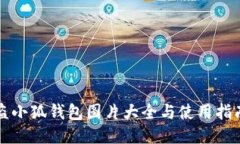 盗小狐钱包图片大全与使用指南
