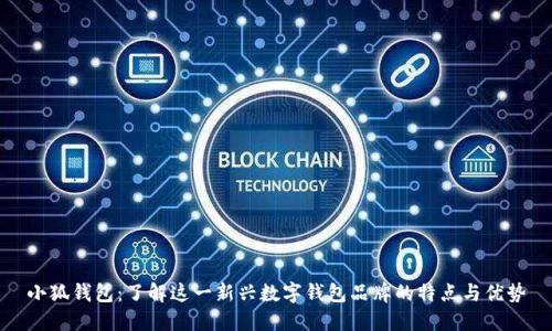 小狐钱包：了解这一新兴数字钱包品牌的特点与优势