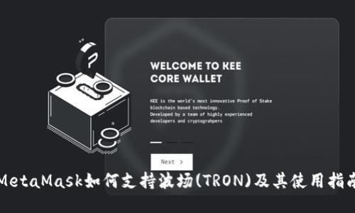 MetaMask如何支持波场(TRON)及其使用指南