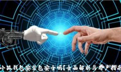 小狐钱包安装包安全吗？全面解析与用户指南