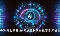 小狐钱包被转：如何应对和保护数字资产安全