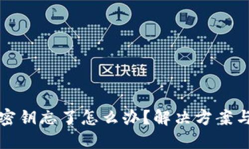 小狐钱包密钥忘了怎么办？解决方案与相关提示