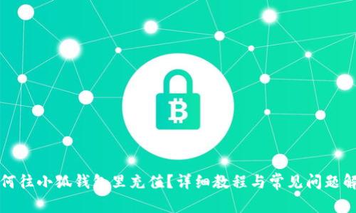 如何往小狐钱包里充值？详细教程与常见问题解答