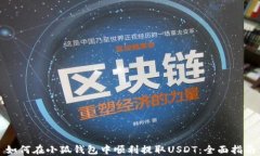 如何在小狐钱包中顺利提取USDT：全面指南